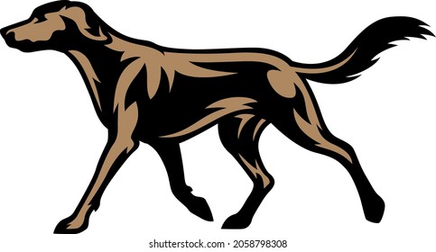 Silhouette of Trotting Labrador Retriever Dog