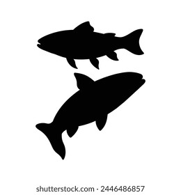 silhouette of trout fish on white