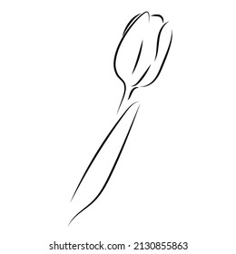 The silhouette of a tulip flower. Icon in the style of sketch, linear art, minimalism