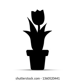 silhouette of a Tulip in a flower pot, flat design