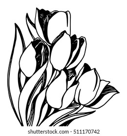 Silhouette Tulip flower. Vector artwork. Gift for girl and women.