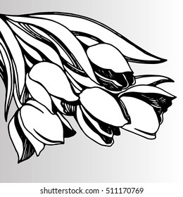Silhouette Tulip flower. Vector artwork. Gift for girl and women.