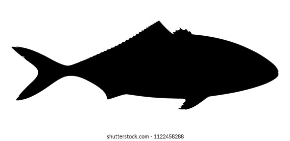 Silhouette of tuna fish on white background. Vector illustration.