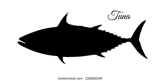 Silhouette of tuna. Hand drawn vector illustration of fish isolated on white background.