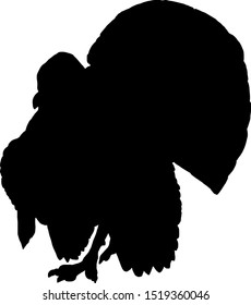 Silhouette of a turkey bird. Vector illustration. 