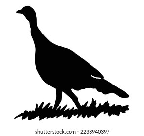 Silhouette turkey on white background. Farm animals collection. Icon.