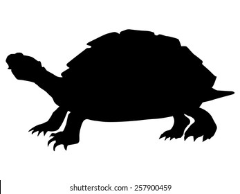 silhouette of turtle