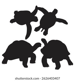 silhouette turtle , silhouette of turtle