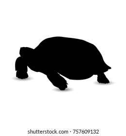 Silhouette of turtle.