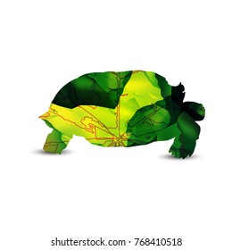  Silhouette of turtle with  leaf veins and stone cubes. Badge of exotic juice.