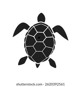silhouette of turtle on white background. 