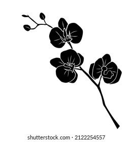 Silhouette of twig flower orchid,  blossom,  vector, black color, isolated on white background