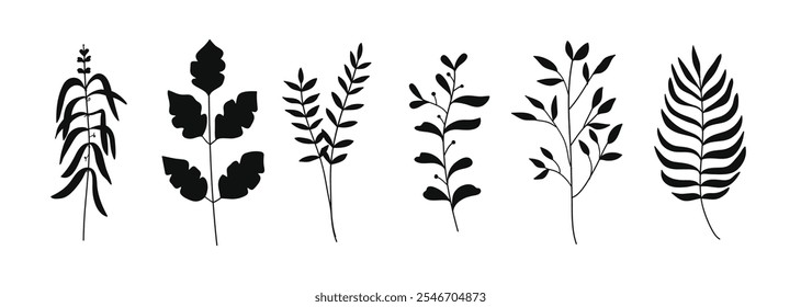 Silhouette twigs with leaves botanical collection.Nature vector illustration 