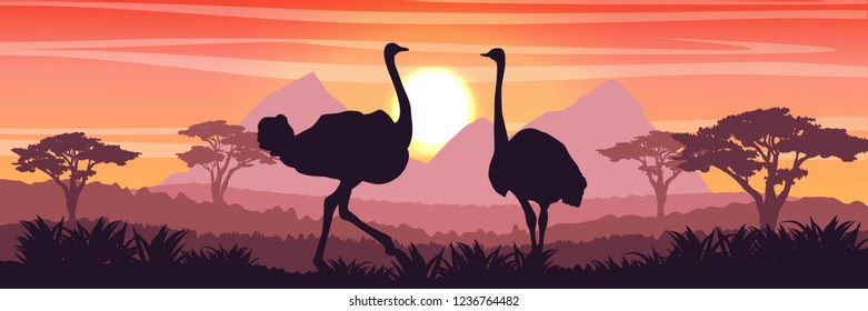 Sunset And Birds Stock Vectors Images Vector Art Shutterstock Images, Photos, Reviews