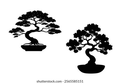 A silhouette of two bonsai trees