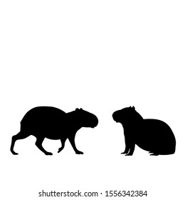 Silhouette of two capybaras. Capybara family. Vector illustrator