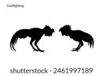 Silhouette of two chickens arguing with each other The beautiful battle of the cockapoos