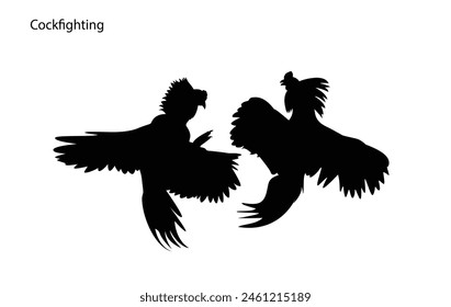 Silhouette of two chickens arguing with each other The beautiful battle of the cockapoos