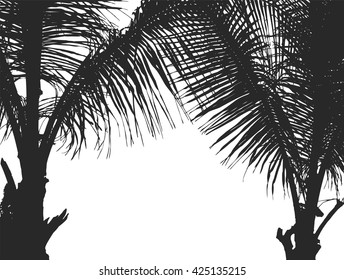 Silhouette two coconut trees isolated on white background, vector