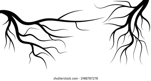 Silhouette of two creepy branches of dead trees on white background.