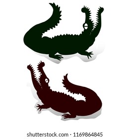 Silhouette of two crocodiles (dark green and brown), with open jaws looking up, decorations for design on white background, vector