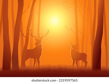 Silhouette of two deer in the woods, vector illustration