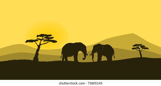 Silhouette of two elephant