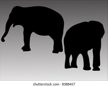 Silhouette of two elephants