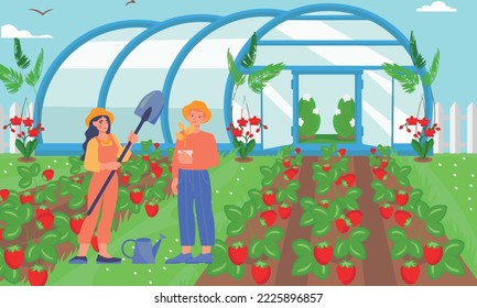 
silhouette of two farmers working in a strawberry greenhouse
