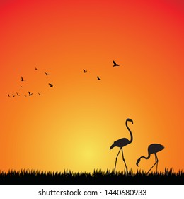 Silhouette of two flamingo on nature at sunset. Vector background.