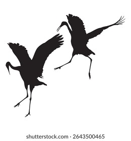 Silhouette of Two Flying Cranes Isolated on White Background