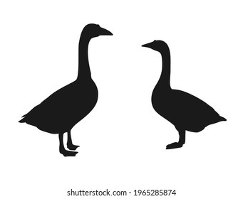 Silhouette of two geese meeting