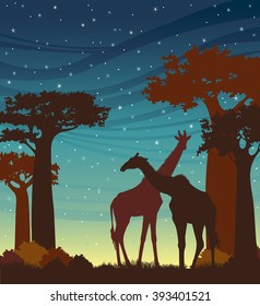 Silhouette of two giraffes and baobabs on a night starry sky. African landscape. Natural illustration. 