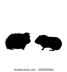 Download Guinea Pig Silhouette Images, Stock Photos & Vectors ...