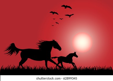 Silhouette of two horses skipping on a decline