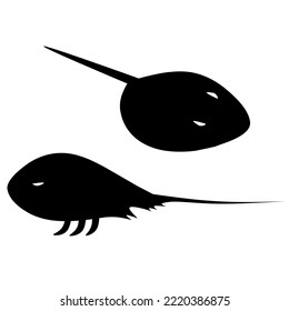 Silhouette Of Two Horseshoe Crabs With Different Appearances. Black Sea Animal Design On White Background. Great For Marine Logos.