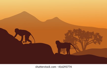 Silhouette of two monkey at the afternoon