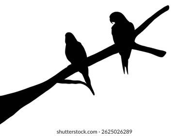 Silhouette of two parrots sitting closely on a branch, symbolizing companionship, affection, and exotic beauty