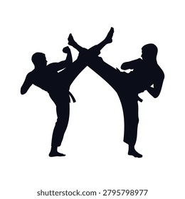 Silhouette of two people practicing karate kicks and fighting moves