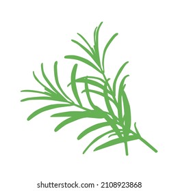 The silhouette of two rosemary sprigs folded together. A delicious and healthy seasoning, widely used in the preparation of a variety of dishes. Vector illustration isolated on a white background.