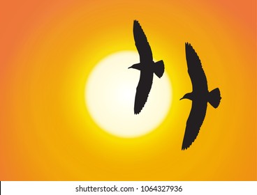 Silhouette of two seagull flying on golden sunset background vector illustration
