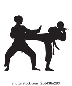 silhouette of two taekwondo warriors fighting