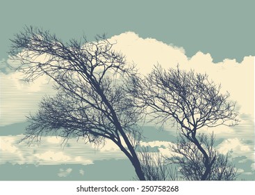 silhouette of two trees on cloudy sky background. detailed vector illustration