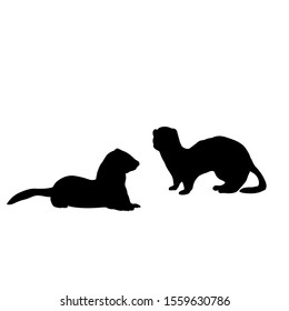 Silhouette of two Weasels and a ferret. An animal of the marten family. Vector illustrator