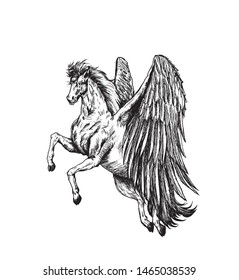 Silhouette of a unicorn in the ornament, Hand Draw Sketch Vector Illustration.