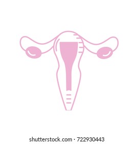 silhouette uterus fallopian tubes anatomy female
