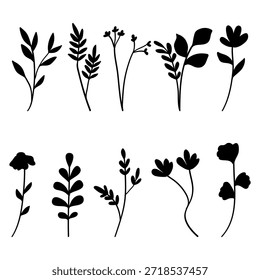 Silhouette of various botanical elements, including leaves and flowers, arranged in two rows. The design is simple and minimalist, suitable for decorative purposes.