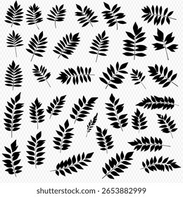 Silhouette of various leafy branches scattered across a light background.