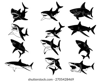 Silhouette of various sharks, vector illustration, used for illustration work