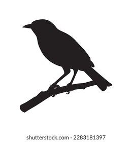 vector de silueta   imágenes de pájaro negro